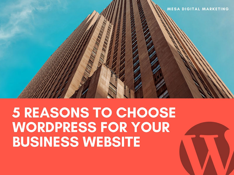 5 Reasons to Choose WordPress For Your Business Website